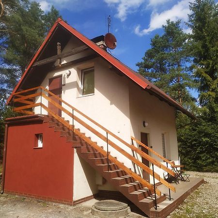 Domek Na Kaszubach Konarzyny エクステリア 写真